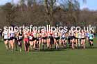 Junior Womens 2025 Northern Cross Country Champs, Tatton Park, Knutsford, Cheshire. Photo: David T. Hewitson/Sports for All Pics